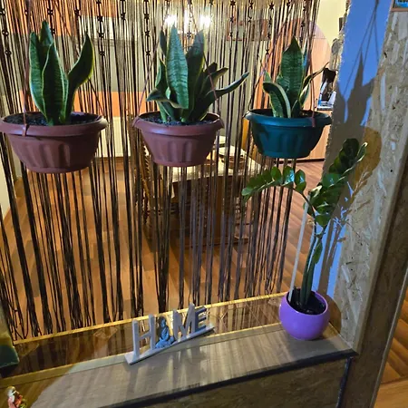 D-club Apartment Senta